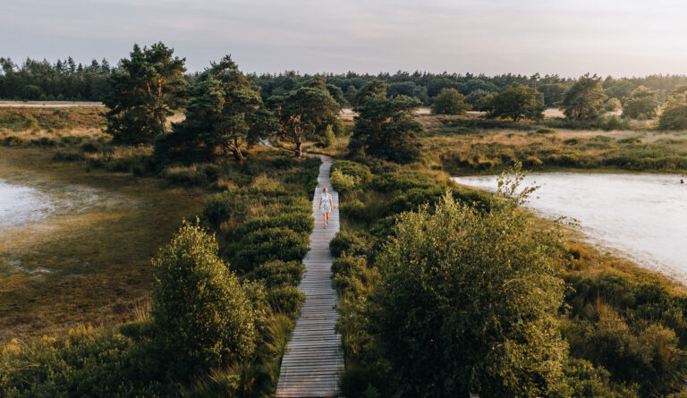 Wandelaar in Natuurgebied De Malpie in de gemeente Valkenswaard.