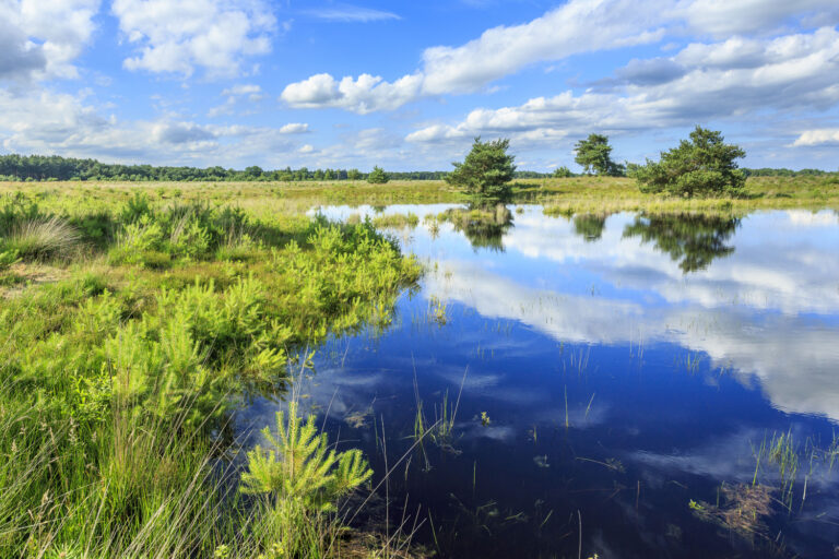 natuurgebied De Plateaux, Zuidoost-Brabant, provincie Noord-Brabant, fotograaf: Geurt Besselink